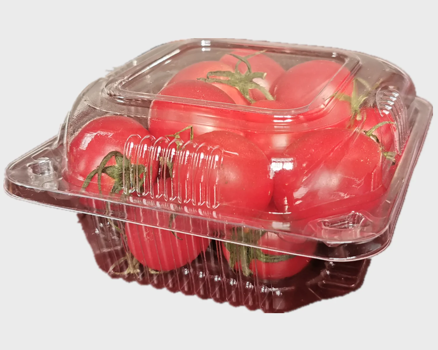 New Condition and One Year Warranty Plastic Cup Lid Thermoforming Machine/ disposable food box production line