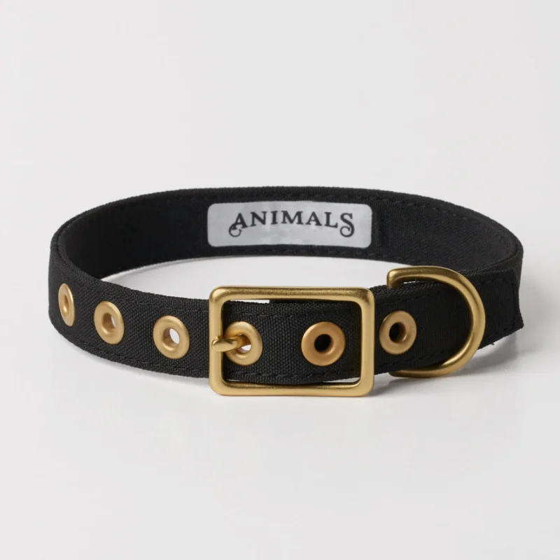 Outdoor Training Dog Collar Luxury Dog Collar