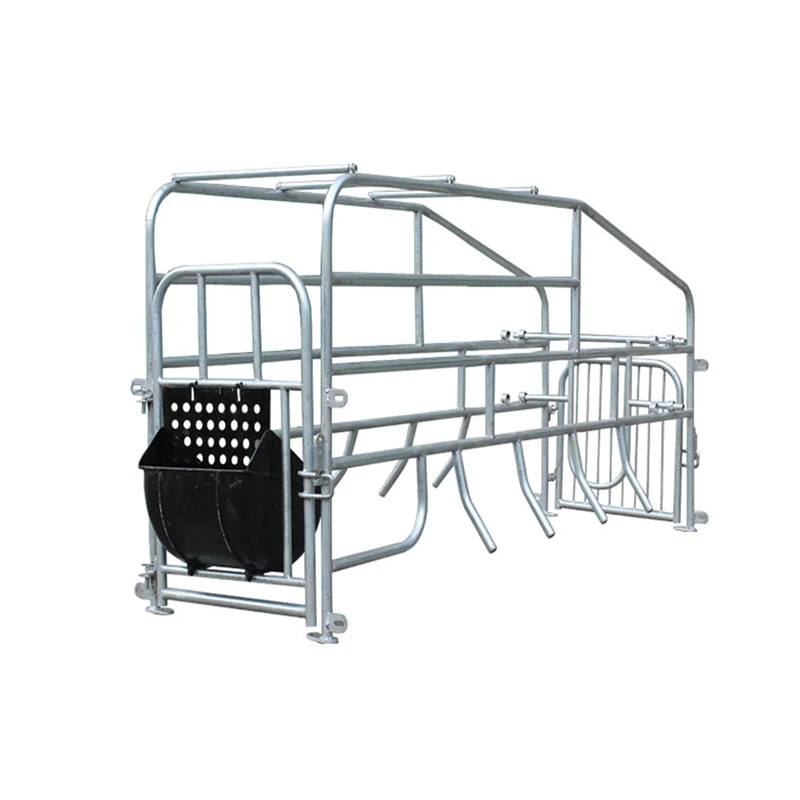 Best Selling Gestation Stalls Group Housing Equipment For Pig Farm