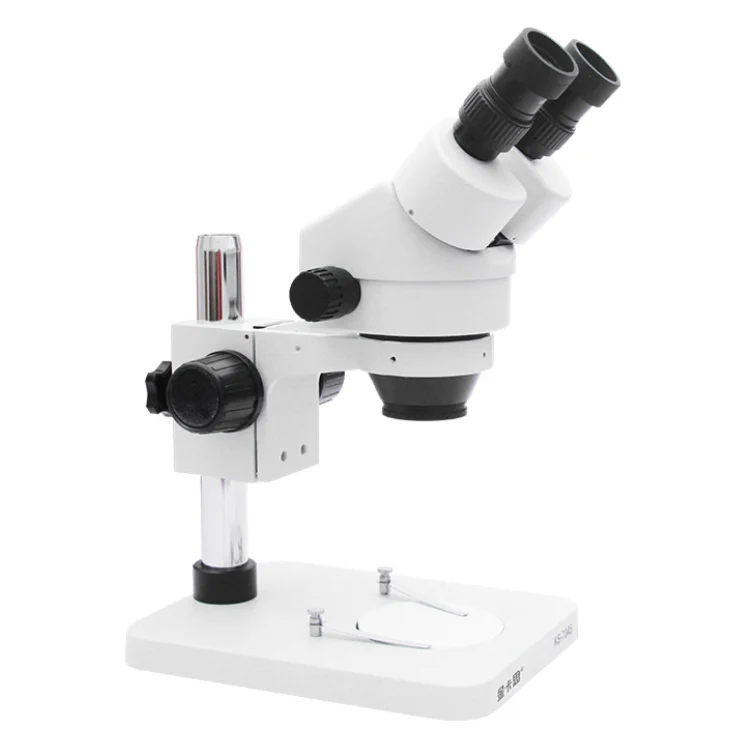 Queen Rearing ARTIFICIAL QUEEN INSEMINATION INSTRUMENT