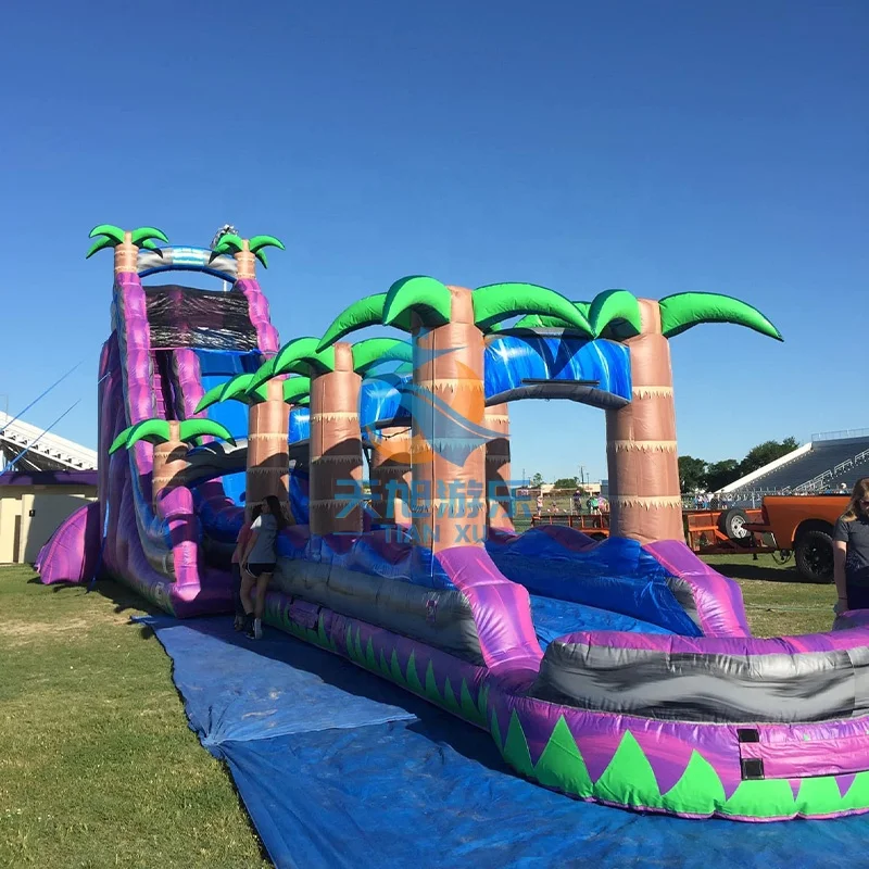 Tropical Purple Lightning Dual Lane Water Slide 30Ft Rapid Crush Plunge Custom Size PVC Indoor/Outdoor Monster Inflatable Pool