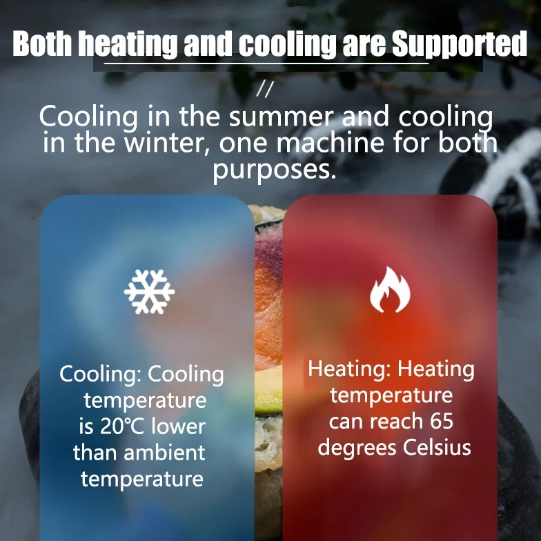 Hot selling Factory Price Wholesale 8L Cooling Heating Truck Outdoor Home Car Refrigerator 12v 220v Car Fridges Car Refrigerator