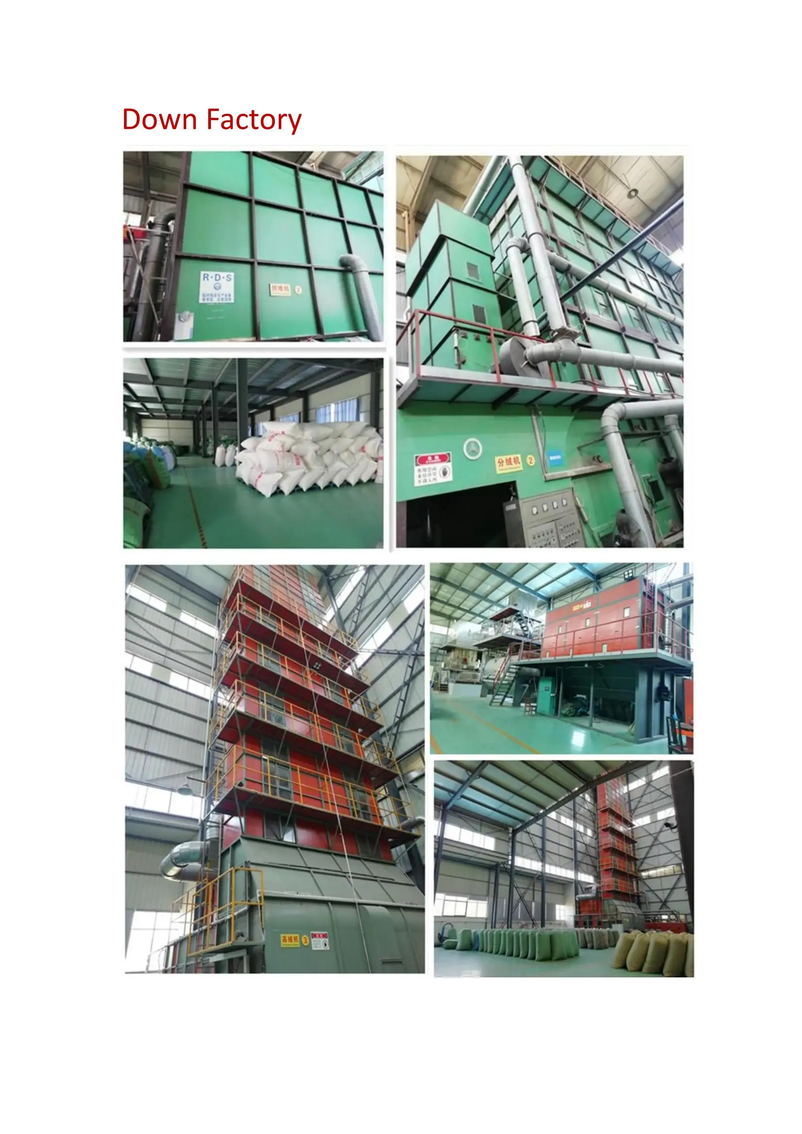 Cheer down factory tour_02.jpg