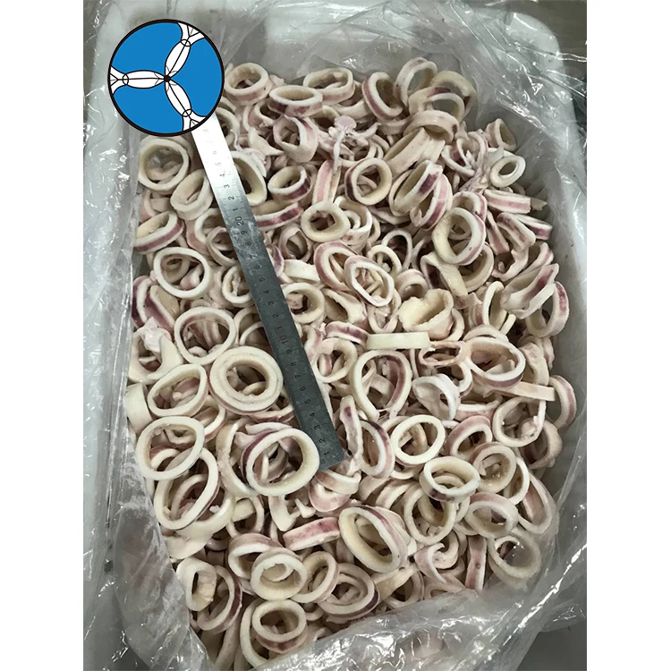 Замороженное кольцо для кальмара Todarodes по хорошей цене
