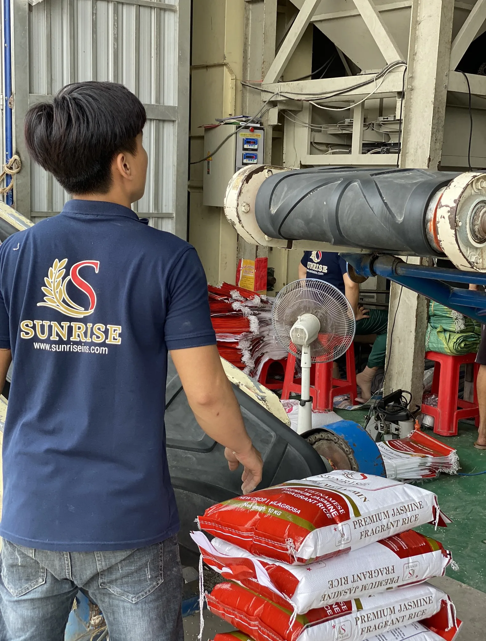 rice sunrise (167).jpg