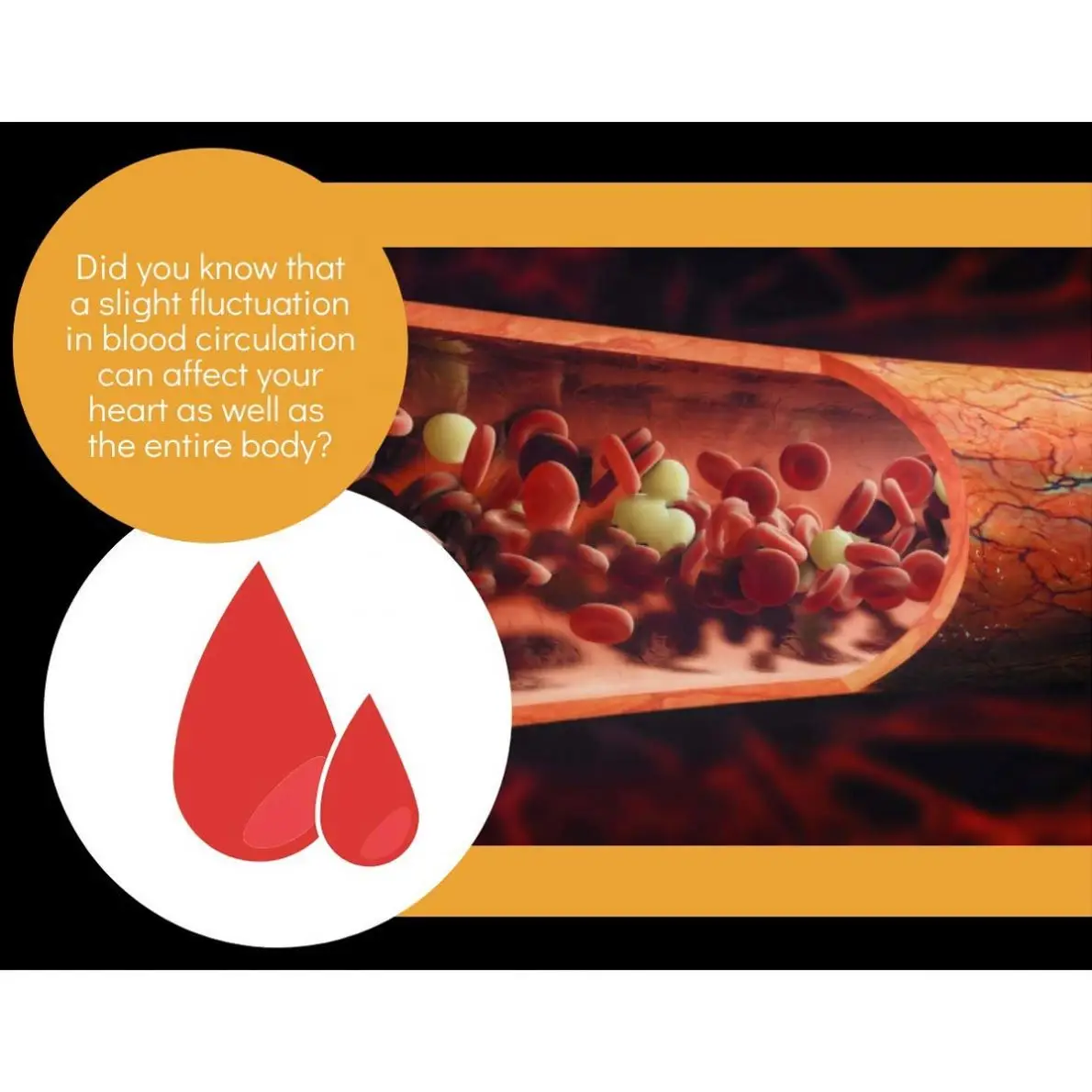 OEM Nitric Oxide Supplement With L Arginine Blood Circulation Supplements Poor Circulation and Vein Support Nitric Oxide Booster