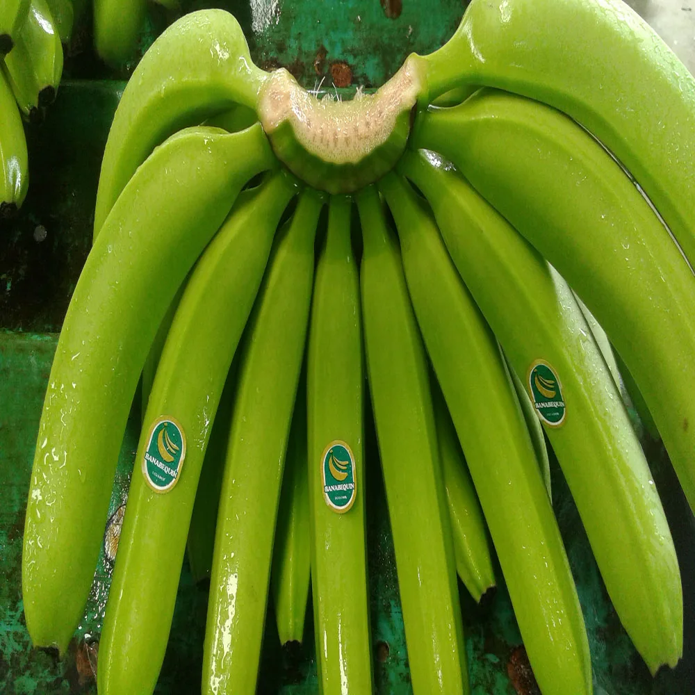 
BANANAS FRESH FRUIT!!!! 