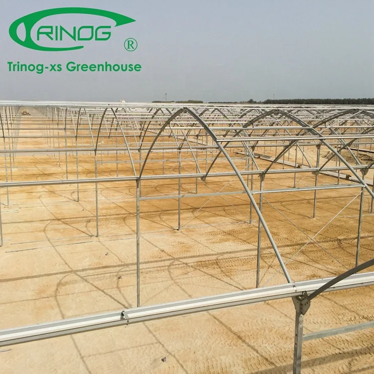 Trinog Greenhouse Multi-span agricultural film tunnel arch pipe structure aluminum greenhouse for vertical farm