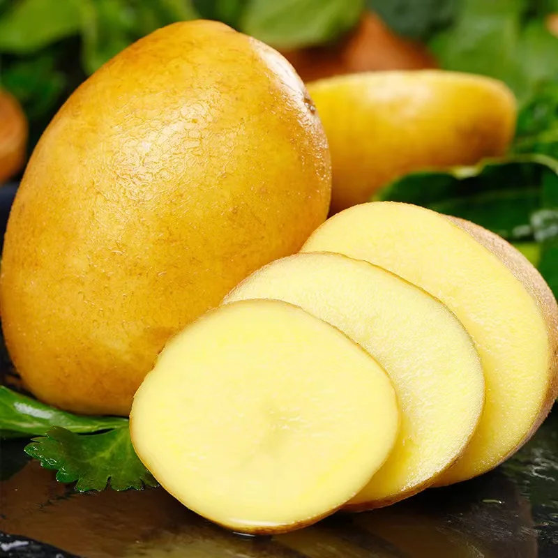 Wholesale Export Fresh Vegetable Potato  Fresh Potatoes China Potato Price