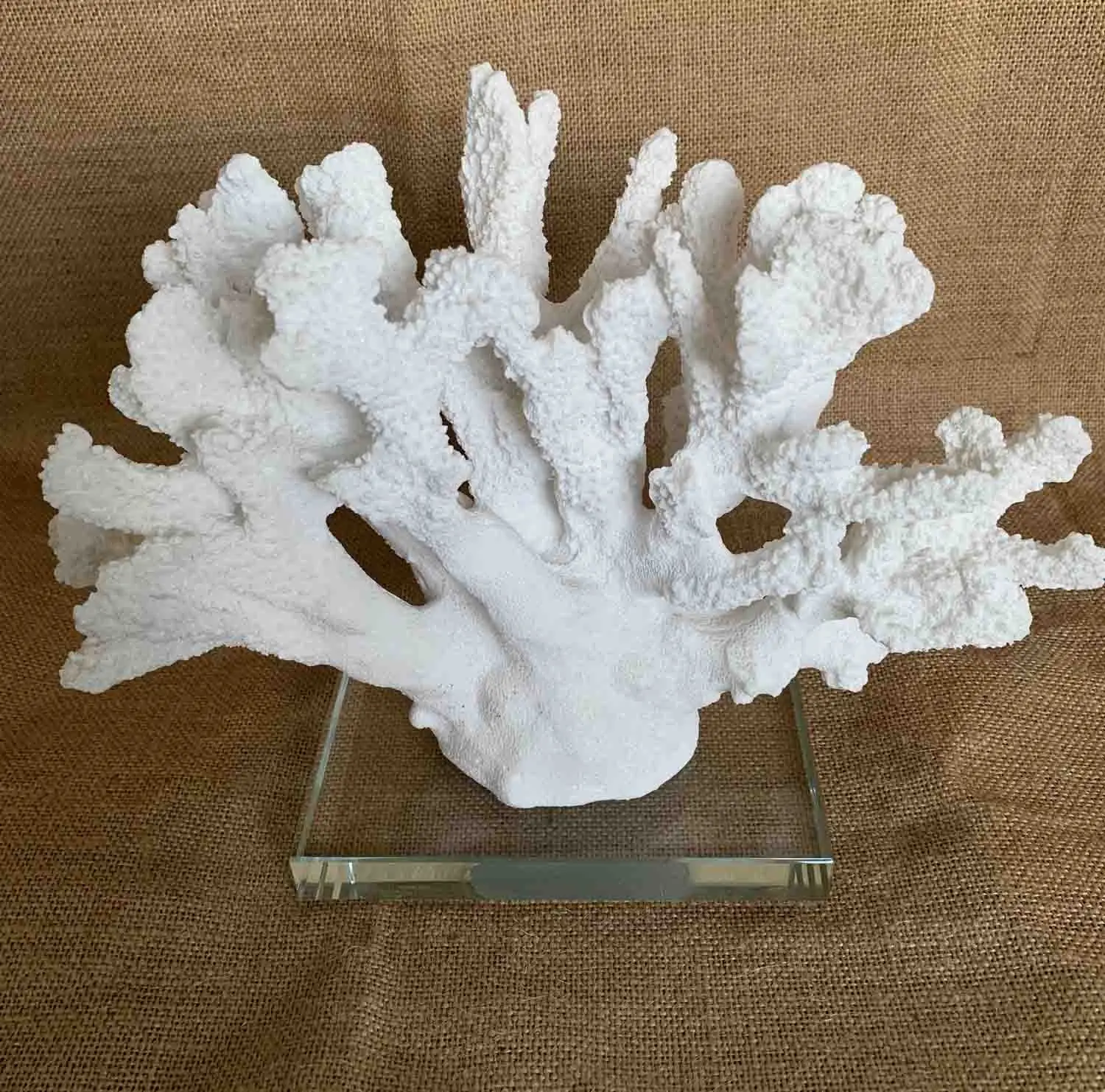 Cream resin Coral Decoration/Wedding Center Beach Coral resin sculpture can be customized