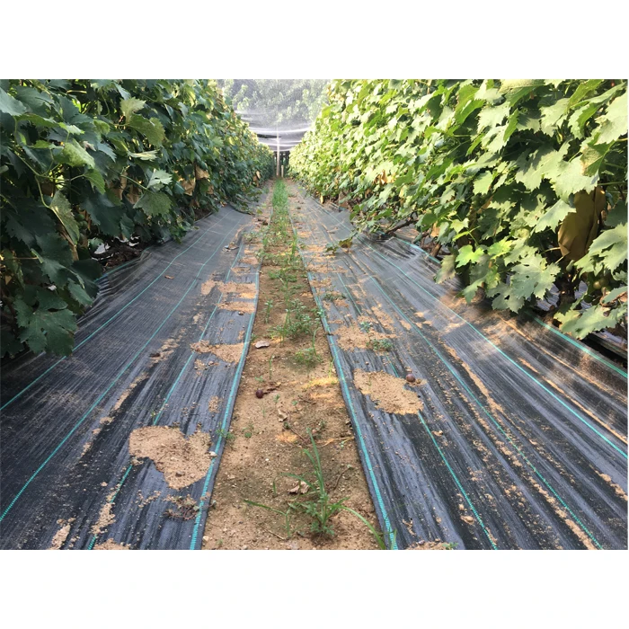 PP weed control Barrier fabric roll Agricultural and garden ground cover weed mat rolls Landscape fabric anti grass cloth