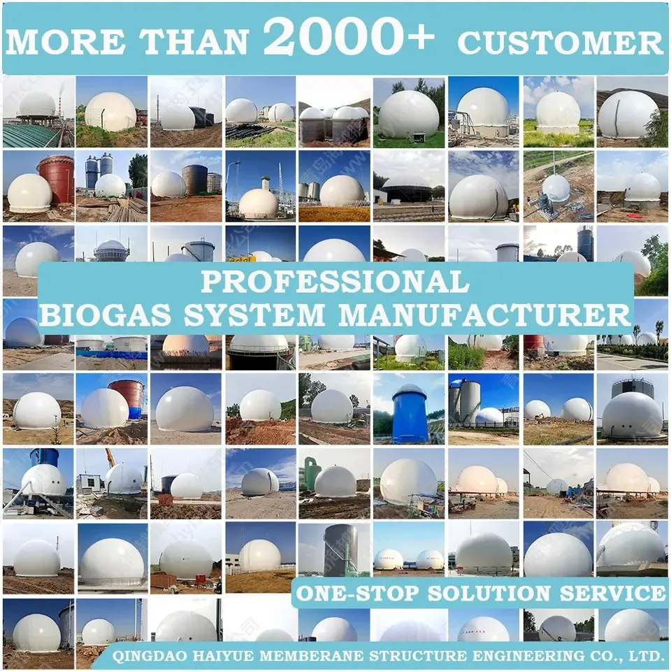 HaiYue Factory good quality double membrane biogas holder tank