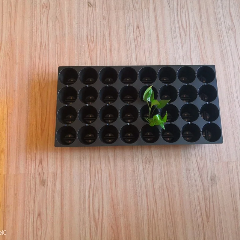 12 20 32 50 60 72  128 200 288 Cells PS Plastic Seed Starting Grow Germination Tray for Greenhouse Vegetables Nursery