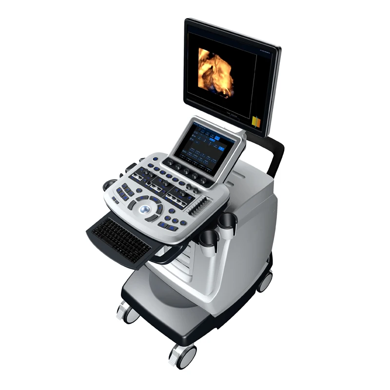 19' HD 3D 4D Digital Portable Color Doppler Ultrasound Diagnostic Ultrasound System Machine
