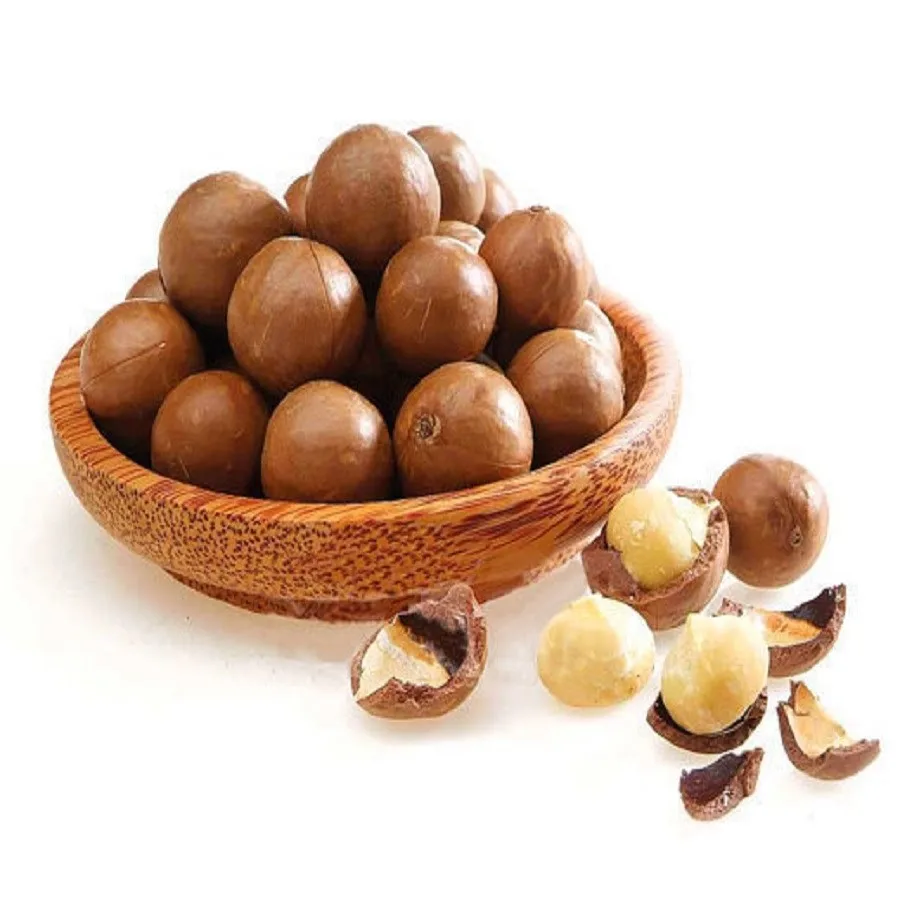 Bulk High Quality Macadamia/ Macadamia nuts/roasted macadamia