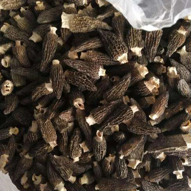 Preferred Price Morels High Quality Mushrooms Dried Morels Mushroom Dried Mushrooms for Soup Food Dried ODM OEM
