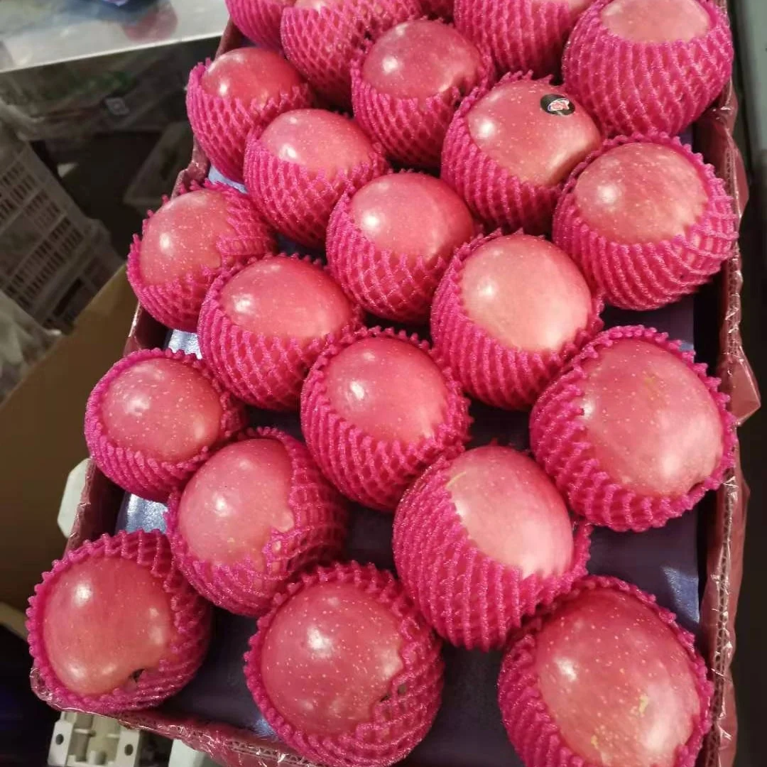 CHINA WASHED FUJI APPLE