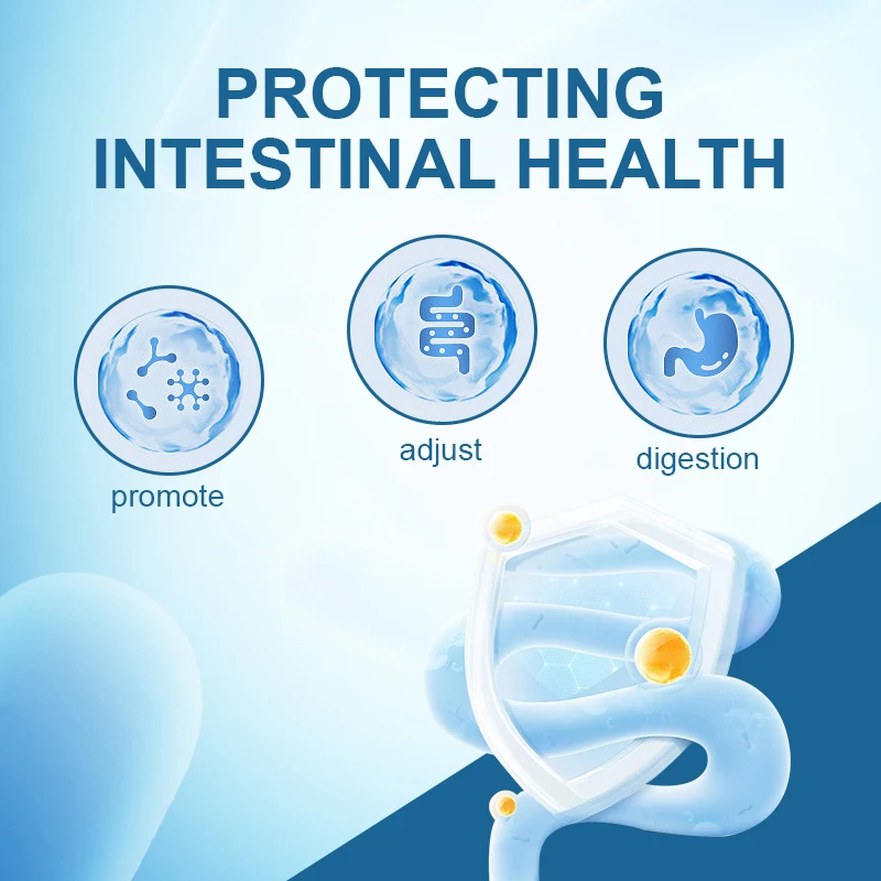 OEM processing logo Bifidobacterium regulating gastrointestinal and immune enhancing probiotic freeze-dried powder