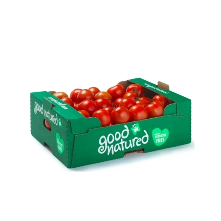 Factory price rigids corrugated shipping fresh fruit vegetable Tomatoes packaging cardboard gift box