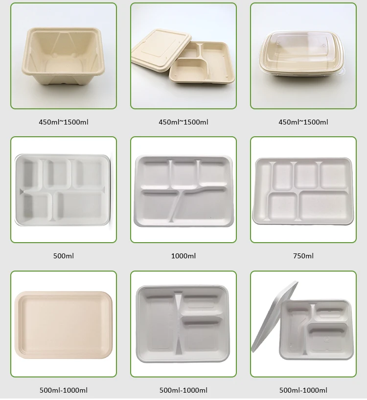 Bagasse-Tray_03.jpg