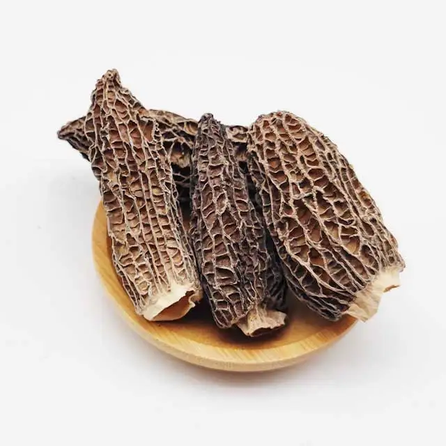 2023 New Season Supplying Great Texture Dried Morel Mushrooms Morel & Morchella  With Best Price