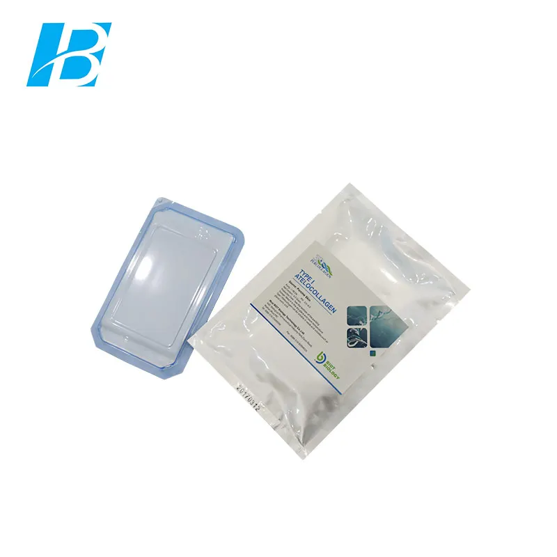 Soluble Collagen