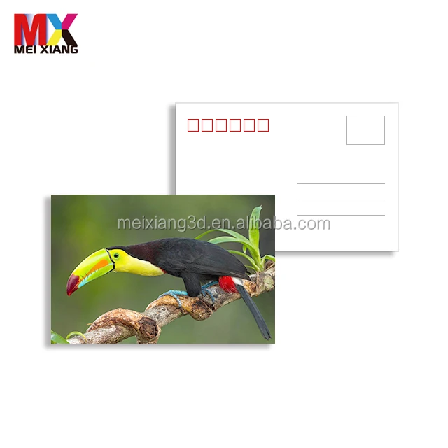 souvenir customize lenticular 3d 5d postcard with lovely animal