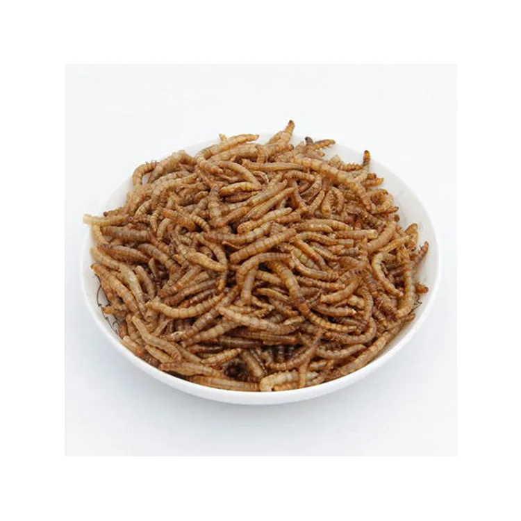 
 Лучшее качество насекомых Белковая еда Сушеные mealworms для еды птицы  