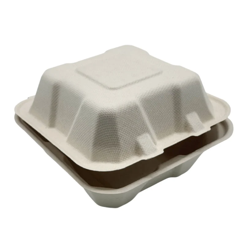 6 * 6 Inch Sugarcane Bagasse 1 Compartment Clamshell Container Takeaway Box Disposable