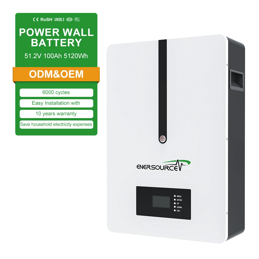 Cheap Energy System Storage Inverter Power wall 20kwh mounted lithium Solar Lithium-Ion BMS battery 5kwh 24V lifepo4 powerwall