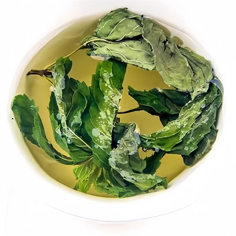 Wholesale Organic Healthy Mint Leaf Spearmint Tea Peppermint Wintermint Leave Tea