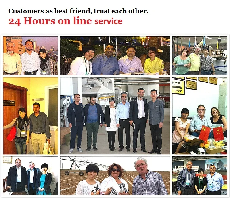 Sunflower Seeds type 361 363 601