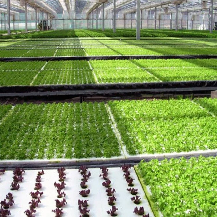 Hydroponics Nft Channel System Agriculture Greenhouse NFT Gully PVC Gutter