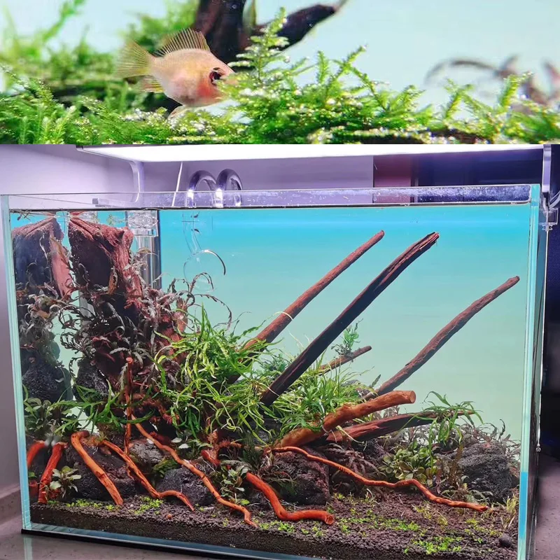 Customizable wholesale aquarium led light fish tank system seawater fish tank lighting