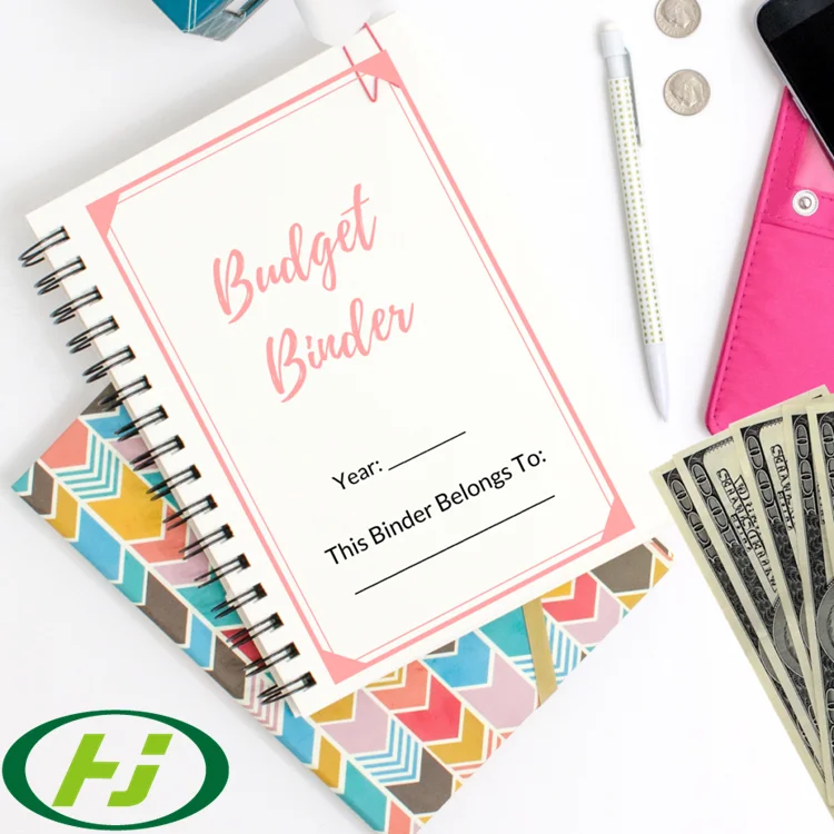 Budget Planner Organizer Bill Binder Weekly and Monthly Stickers Finance Book Tracker Monthly Calendar