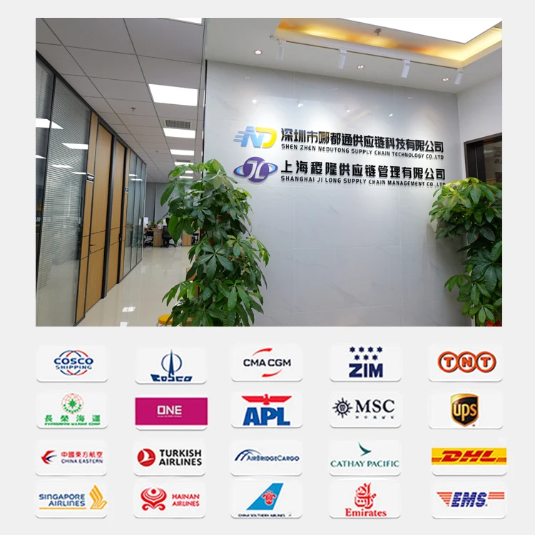 Top 10 China Logistic Company DDP DDU Sea Cargo Shipping Agent China to SA Canada Spain Italy France Fregiht Forwarder