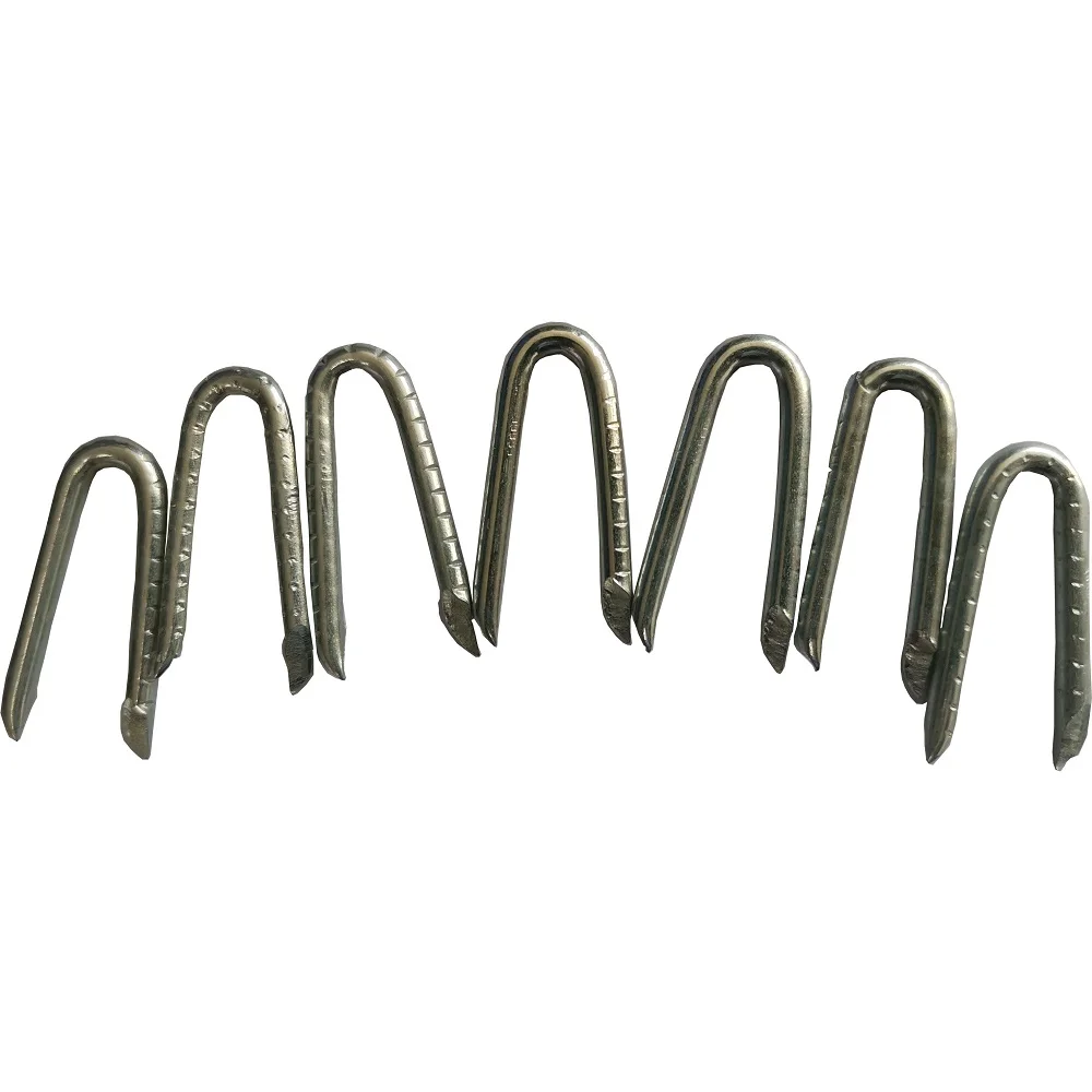 Best Choice Barbed U Shape Iron Wire Nail Common Diamond Sharp U Type Nail with Different Size