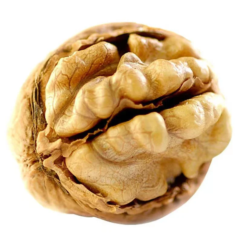 China Xinjiang wholesale shelled organic walnut nuts buy standard walnuts online