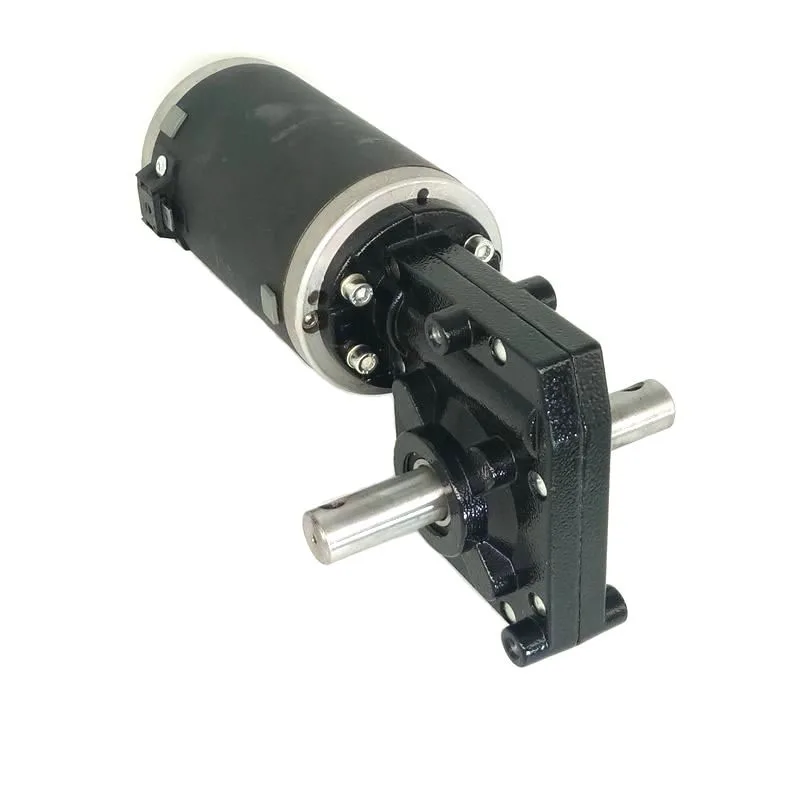 Double Shaft Speed Controller Electric Encoder Big Size 24V Dc Motor 12V 100W Large 350W Dc Motor