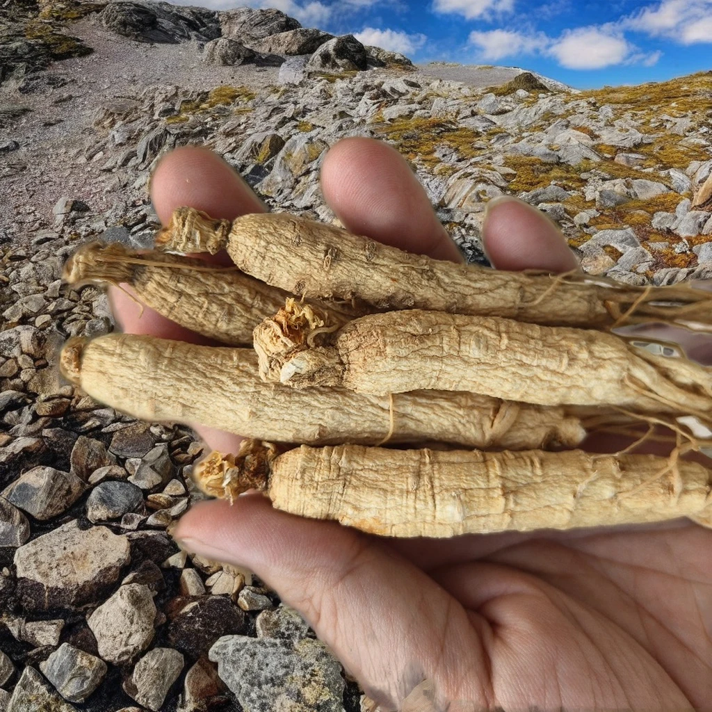High Quality Premium Single Spices 6 Years Dried  Ginseng Root Fresh RenShen Herb with Raw Processing AD Drying Process