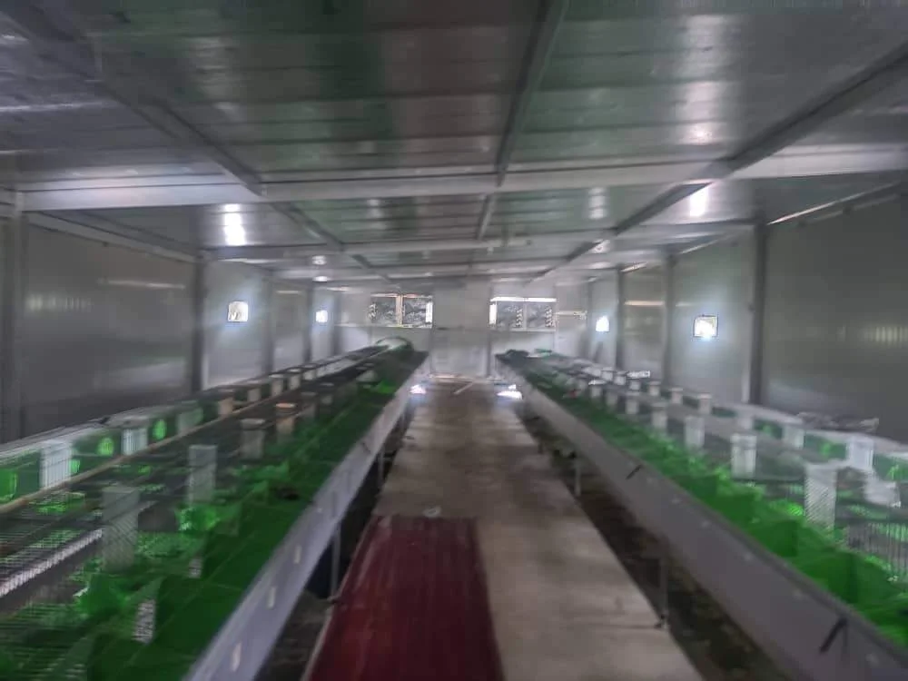 4 tiers 24 rabbits commercial price rabbit cages manufacturer