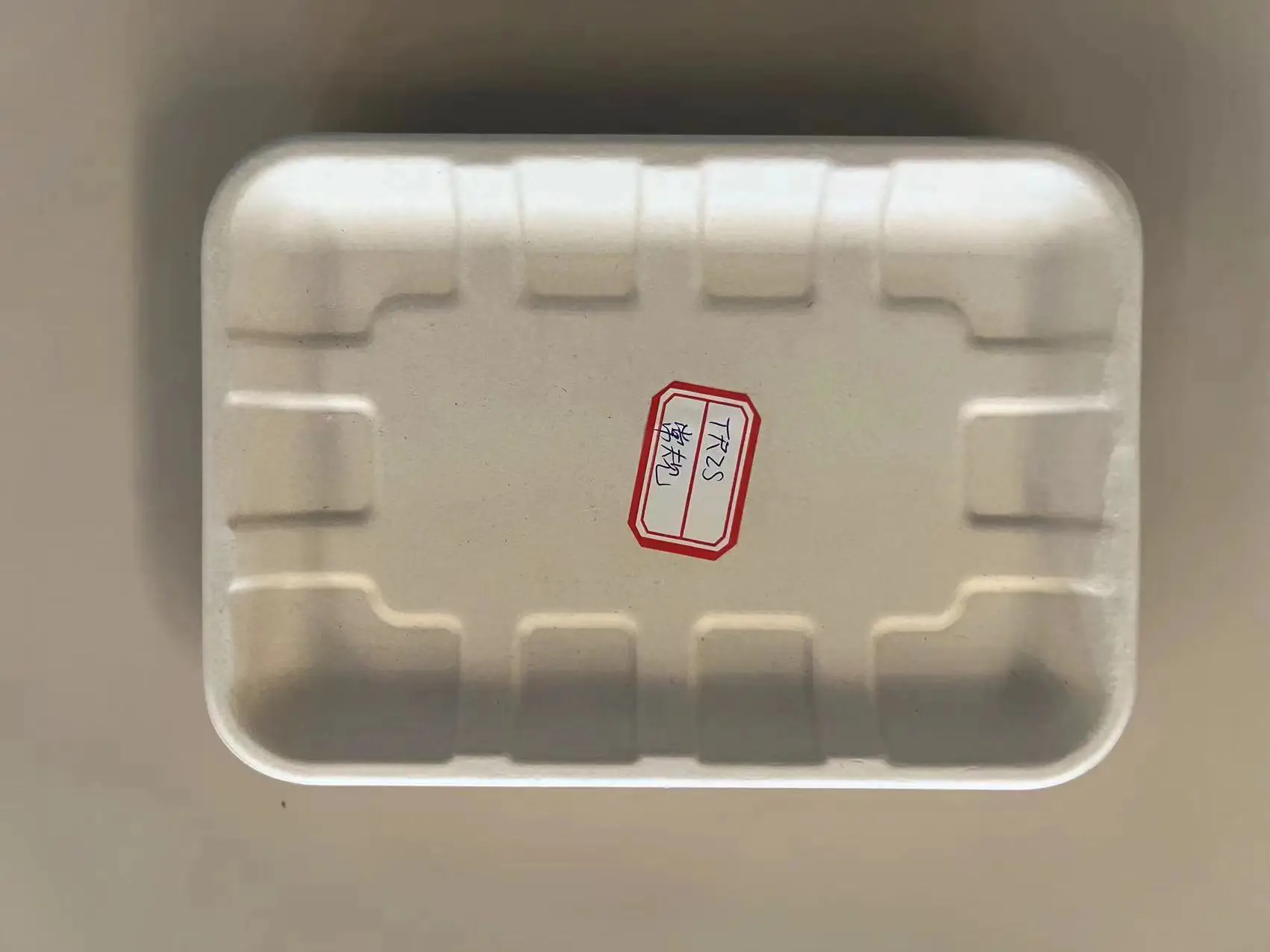 Sugarcane factory hot sale  Disposable Biodegradable Eco-Friendly  food Tray TR2S