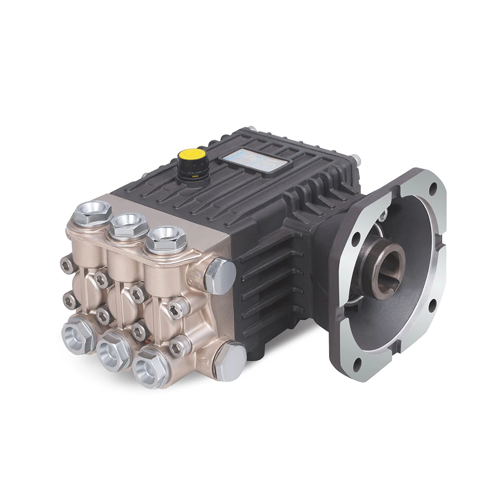 Popular design 3625psi 250bar 4gpm 7.5kw plunger pump washer pump