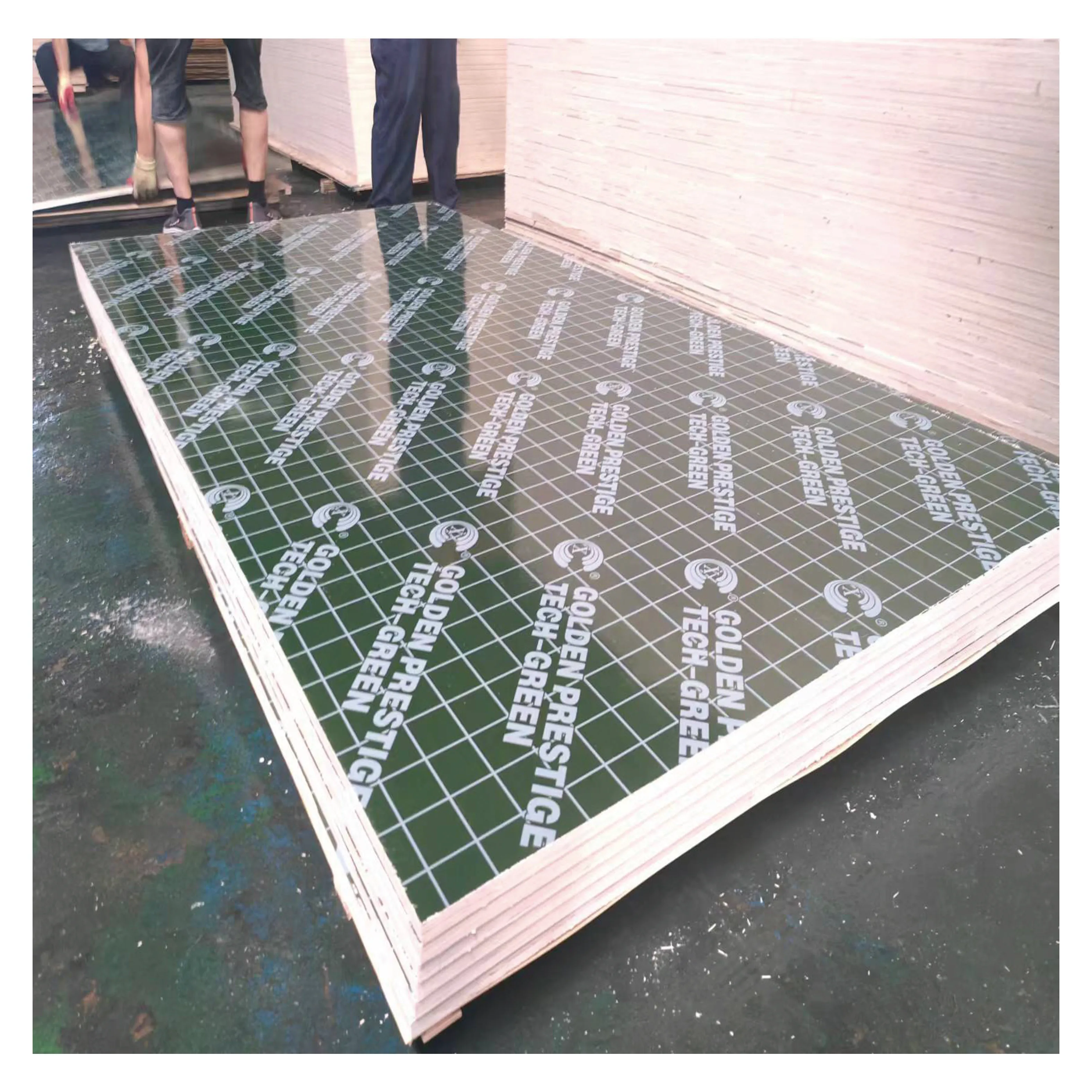 9mm,12mm,15mm,18mm,20mm,21mm Construction Plywood PP Plastic Cover Sheet