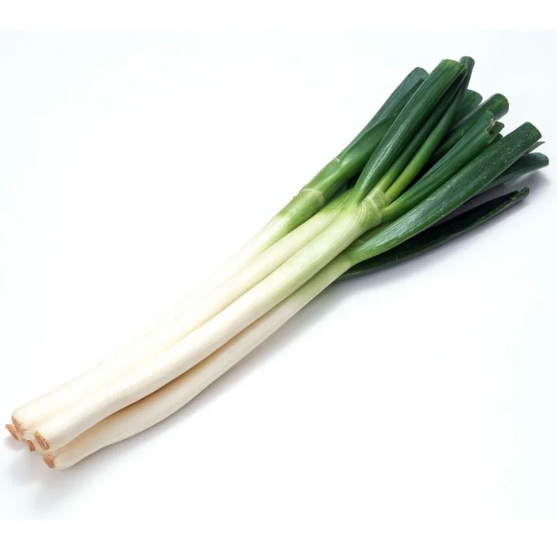 Chinese Scallions Allium Fistulosum Green Onion
