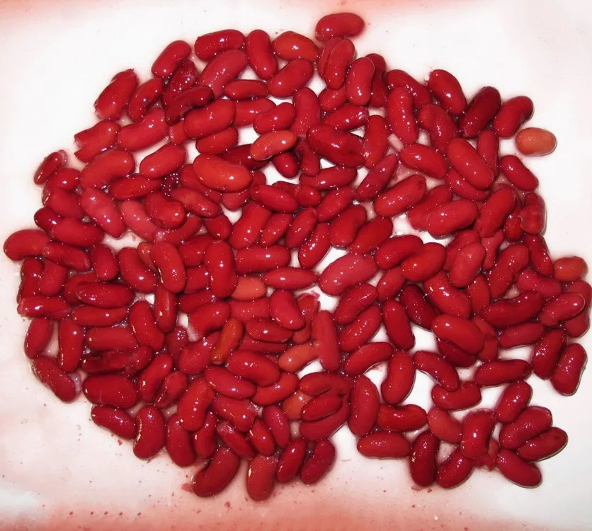 400g Canned Red Kidney Bean  best selling canned red kidney beans
