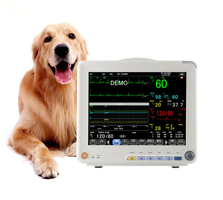 12 Inch Portable Multi Parameter veterinary monitor blood pressure testing blood pressure testing handheld monitor
