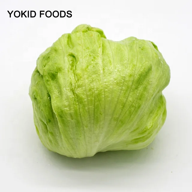 Good Product Green Fresh Brands Lettuce