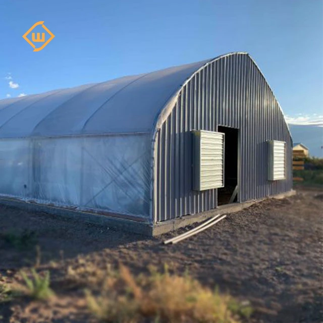 Modern automatic control equipment tomato strawberry single-span plastic film greenhouse