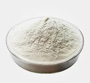 wholesale Food Grade Vegan Mushroom Chitosan HCL Powder for Wound and Skin Care